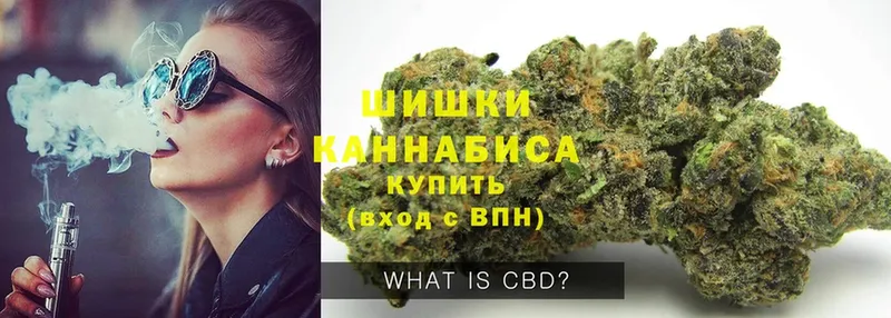 магазин продажи наркотиков  Мензелинск  Бошки марихуана OG Kush 